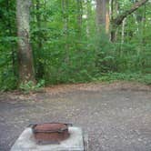 Review photo of Watkins Glen State Park Campground by Erin H., July 31, 2016