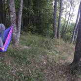 Review photo of Forest Lake State Forest Campground by Jen W., August 22, 2018