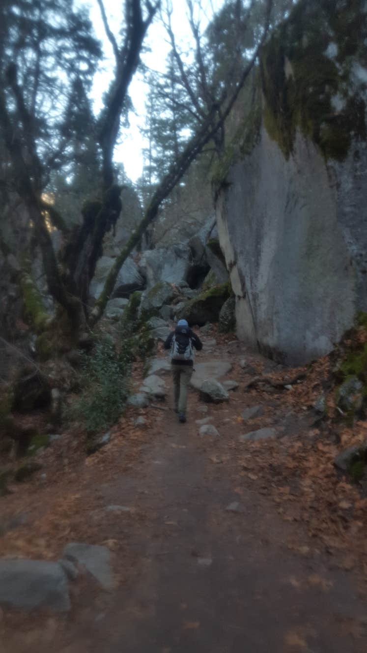 Camper submitted image from Yosemite Creek — Yosemite National Park - 5