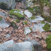 Review photo of Yosemite Creek — Yosemite National Park by Brittany S., August 14, 2018