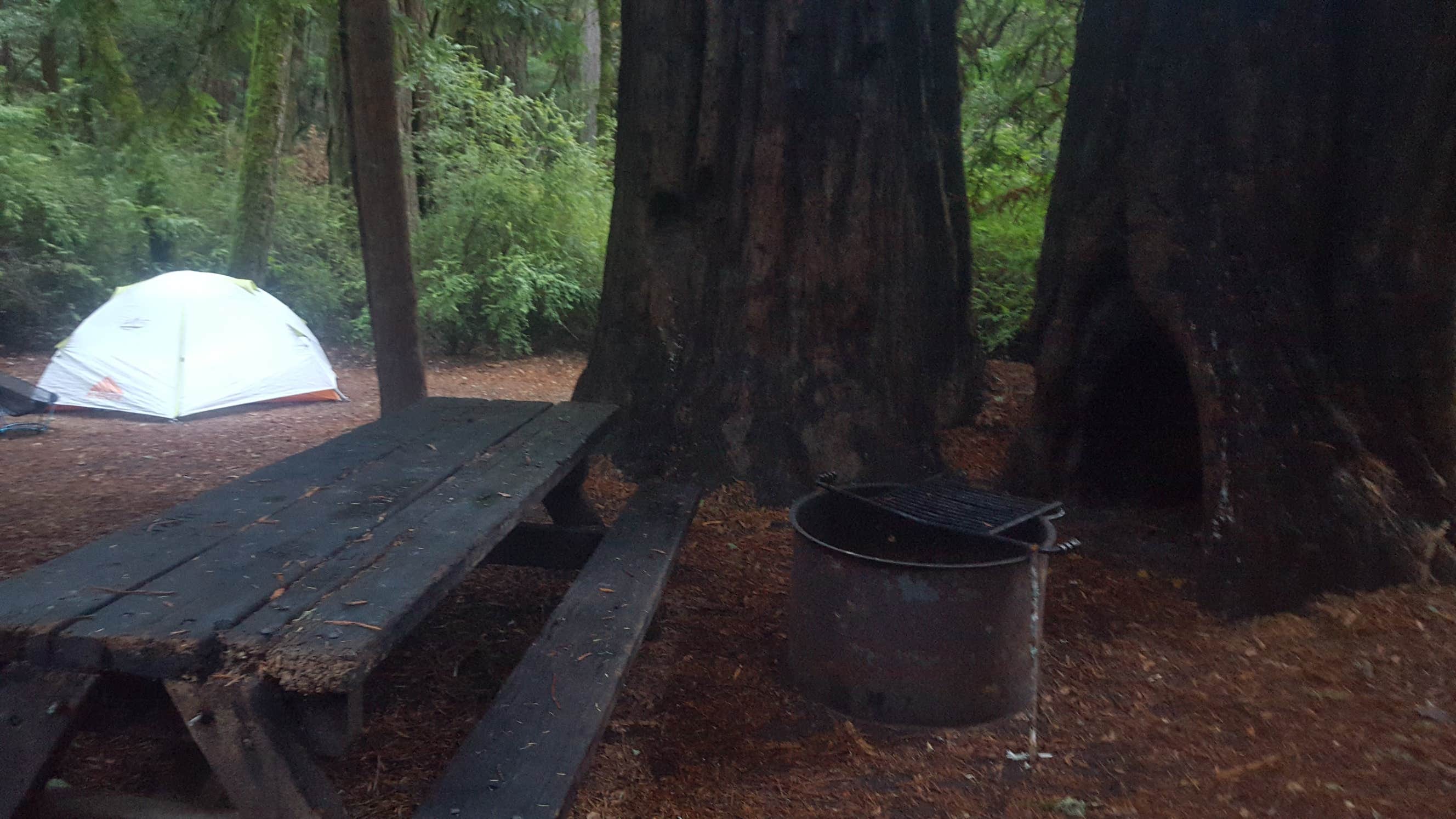 Brittany S.'s photo at Lower Blooms Creek — Big Basin Redwoods State Park — CAMPGROUND CLOSED near Boulder Creek, CA