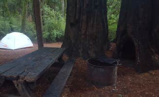Brittany S.'s photo at Lower Blooms Creek — Big Basin Redwoods State Park — CAMPGROUND CLOSED near Boulder Creek, CA
