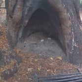 Review photo of Big Basin Redwoods State Park — Big Basin Redwoods State Park - CAMPGROUND CLOSED by Brittany S., August 14, 2018