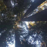 Review photo of Big Basin Redwoods State Park — Big Basin Redwoods State Park - CAMPGROUND CLOSED by Brittany S., August 14, 2018