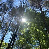 Review photo of Hoffmaster State Park Campground by Jen W., August 14, 2018