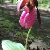Review photo of Hoffmaster State Park Campground by Jen W., August 14, 2018