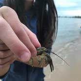 Review photo of Fisherman's Island State Park Campground by Jen W., August 22, 2018