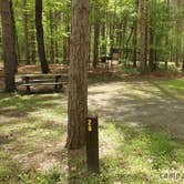 Review photo of Watkins Glen State Park Campground by Erin H., July 31, 2016