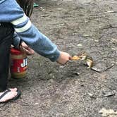 Review photo of Fisherman's Island State Park Campground by Jen W., August 22, 2018