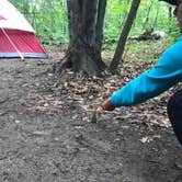 Review photo of Fisherman's Island State Park Campground by Jen W., August 22, 2018