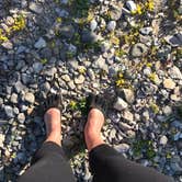 Review photo of Fisherman's Island State Park Campground by Jen W., August 22, 2018