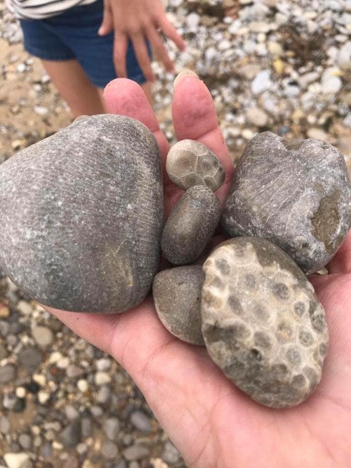 Camper-submitted photo at Petoskey State Park Campground near Gaylord, MI