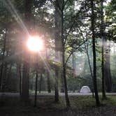 Review photo of Elkmont Campground — Great Smoky Mountains National Park by Alicia F., August 22, 2018