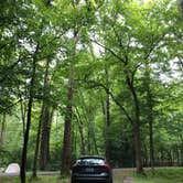 Review photo of Elkmont Campground — Great Smoky Mountains National Park by Alicia F., August 22, 2018