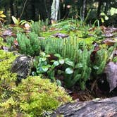 Review photo of Presque Isle - Porcupine Mountains State Park by Jen W., August 22, 2018