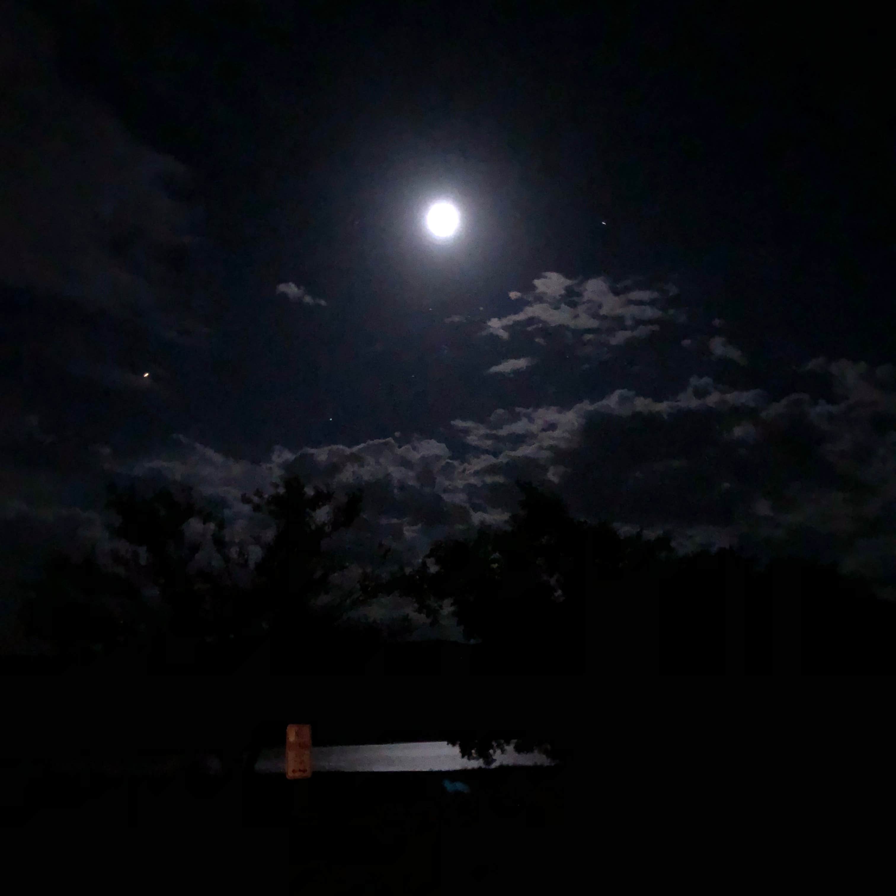 Oasis Campground Yuba Lake Camping The Dyrt