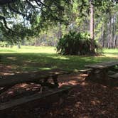 Review photo of Seminole State Forest - Oaks Camp by Billy A., June 30, 2015