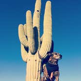 Review photo of Picacho Peak State Park Campground by Alicia F., August 22, 2018