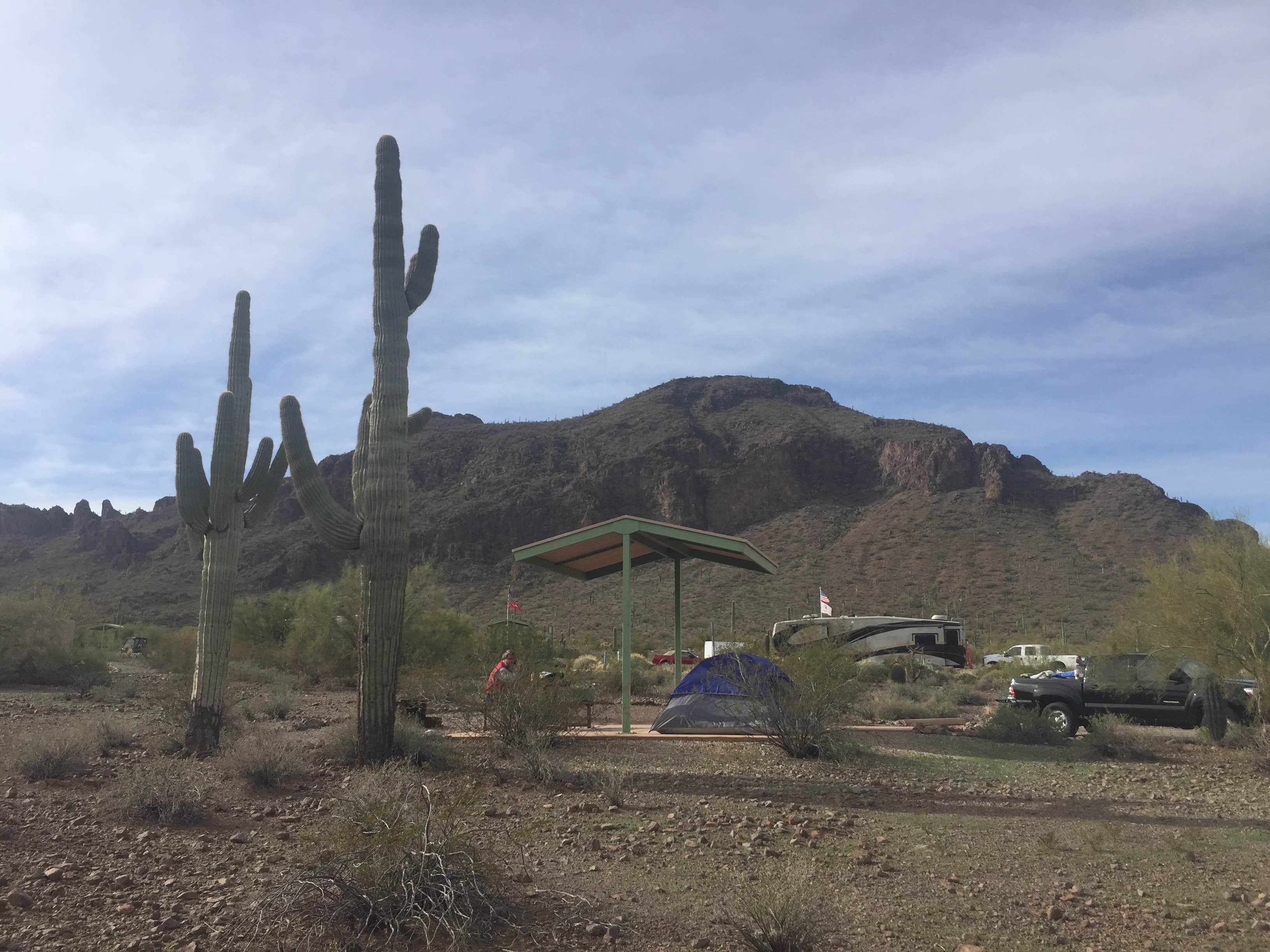 Camper submitted image from Picacho Peak State Park Campground - 4