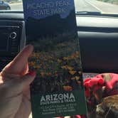 Review photo of Picacho Peak State Park Campground by Alicia F., August 22, 2018