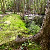 Review photo of Hoffmaster State Park Campground by Jen W., August 14, 2018