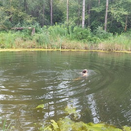 Taking a dip in the main pond.