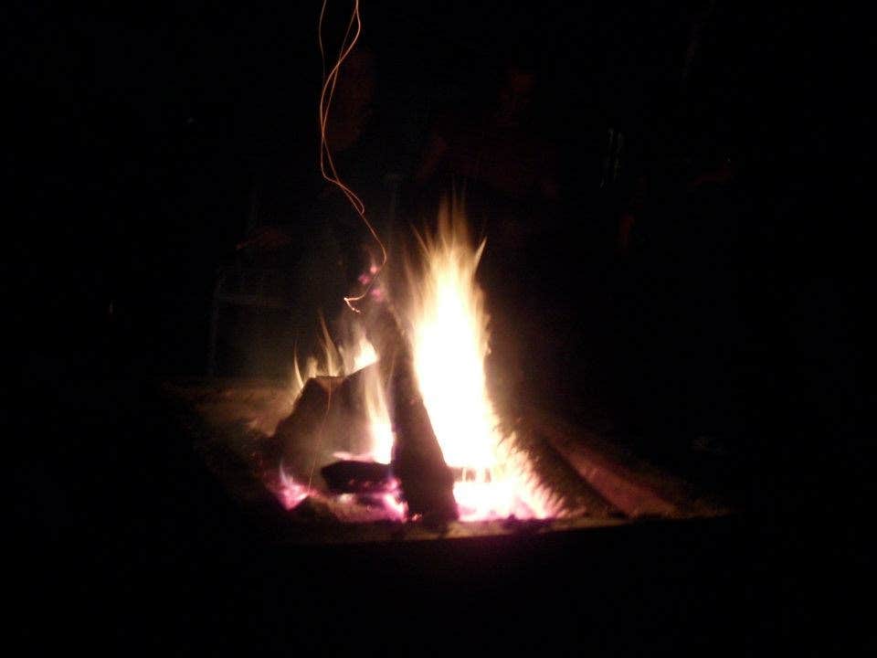 Camper submitted image from Brimley State Park Campground - 2