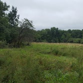Review photo of Shady Pines Camp at CBG Farm - CLOSED by Christina G., August 22, 2018