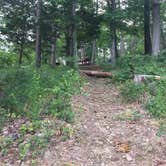 Review photo of Daisy State Park Campground by Alicia F., August 22, 2018