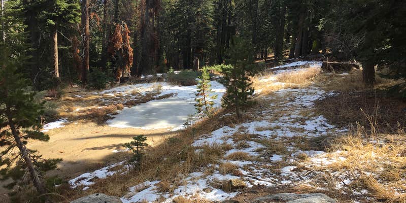 Camper submitted image from Swanson Campground