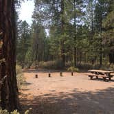 Review photo of Williamson River Campground by Brittney   G., August 22, 2018