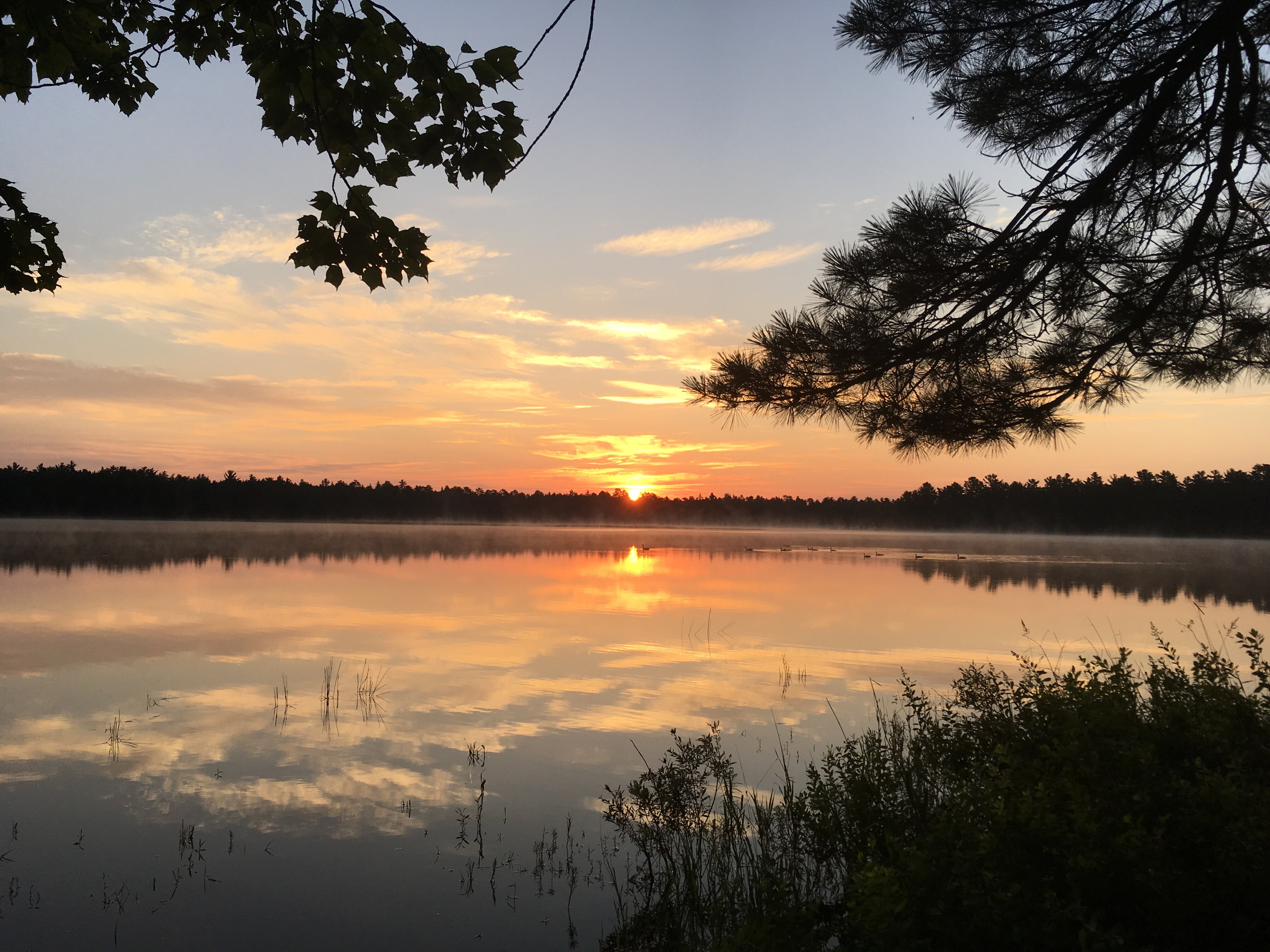 Camper submitted image from Bodi Lake State Forest Campground - 2