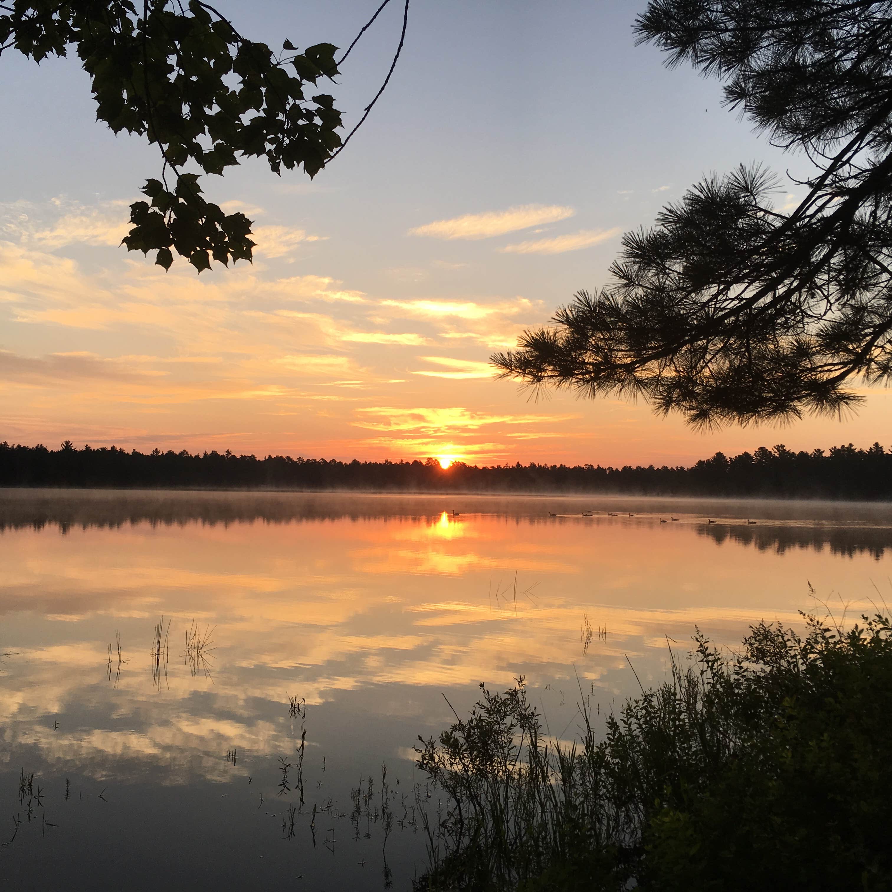 Escape to Serenity: Michigan's Bodi Lake State Forest - A Nature Lover's Paradise