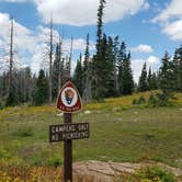 Review photo of Point Supreme Campground — Cedar Breaks National Monument by Colette K., August 23, 2018