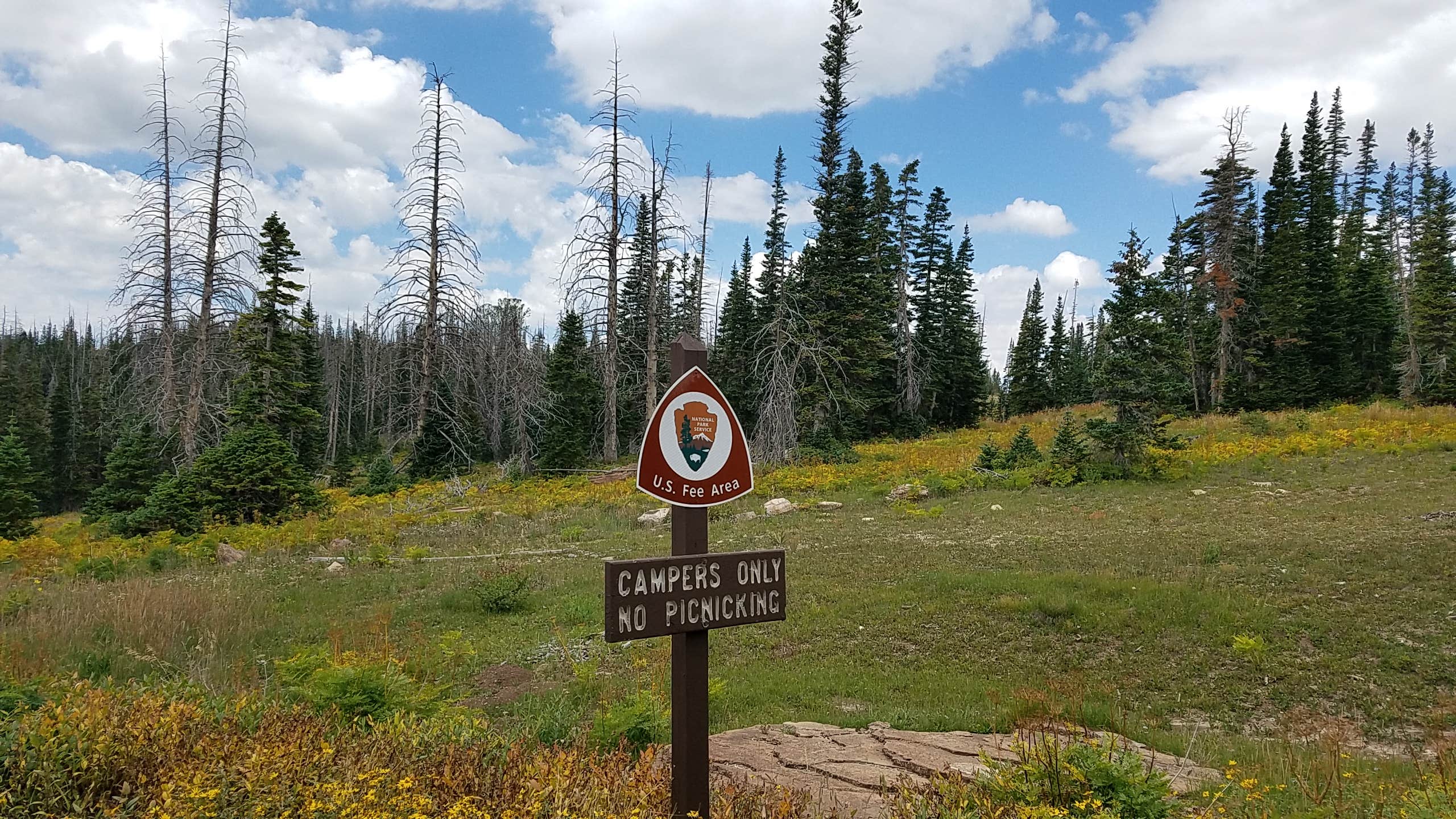 Camper submitted image from Point Supreme Campground — Cedar Breaks National Monument - 5