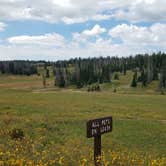 Review photo of Point Supreme Campground — Cedar Breaks National Monument by Colette K., August 23, 2018