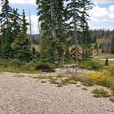 Review photo of Point Supreme Campground — Cedar Breaks National Monument by Colette K., August 23, 2018