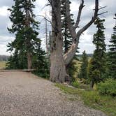 Review photo of Point Supreme Campground — Cedar Breaks National Monument by Colette K., August 23, 2018