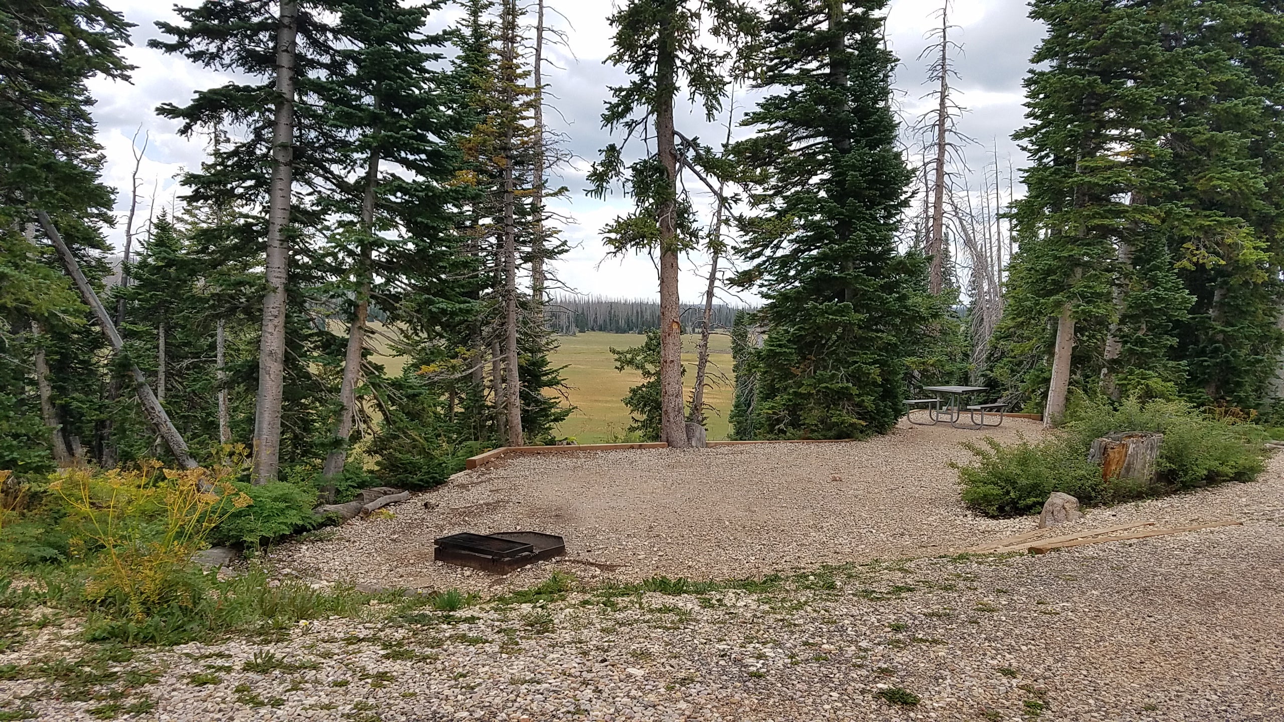 Camper submitted image from Point Supreme Campground — Cedar Breaks National Monument - 4