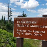 Review photo of Point Supreme Campground — Cedar Breaks National Monument by Colette K., August 23, 2018