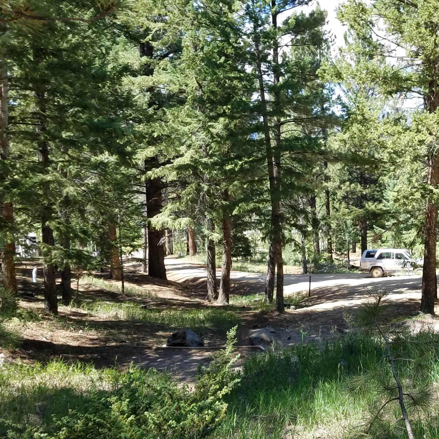 Panguitch Lake Camping The Dyrt