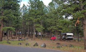 Colette K.'s photo at Panguitch Lake near Parowan, UT