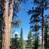 Review photo of Panguitch Lake by Colette K., August 23, 2018