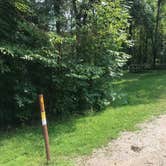 Review photo of Forestville Mystery Cave State Park Campground by TyAnn J., August 23, 2018