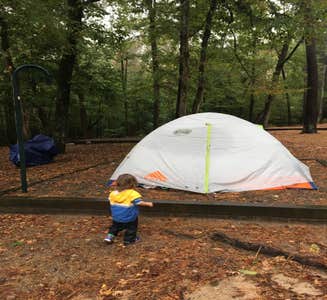 Camper-submitted photo from White Oak Lake State Park Campground