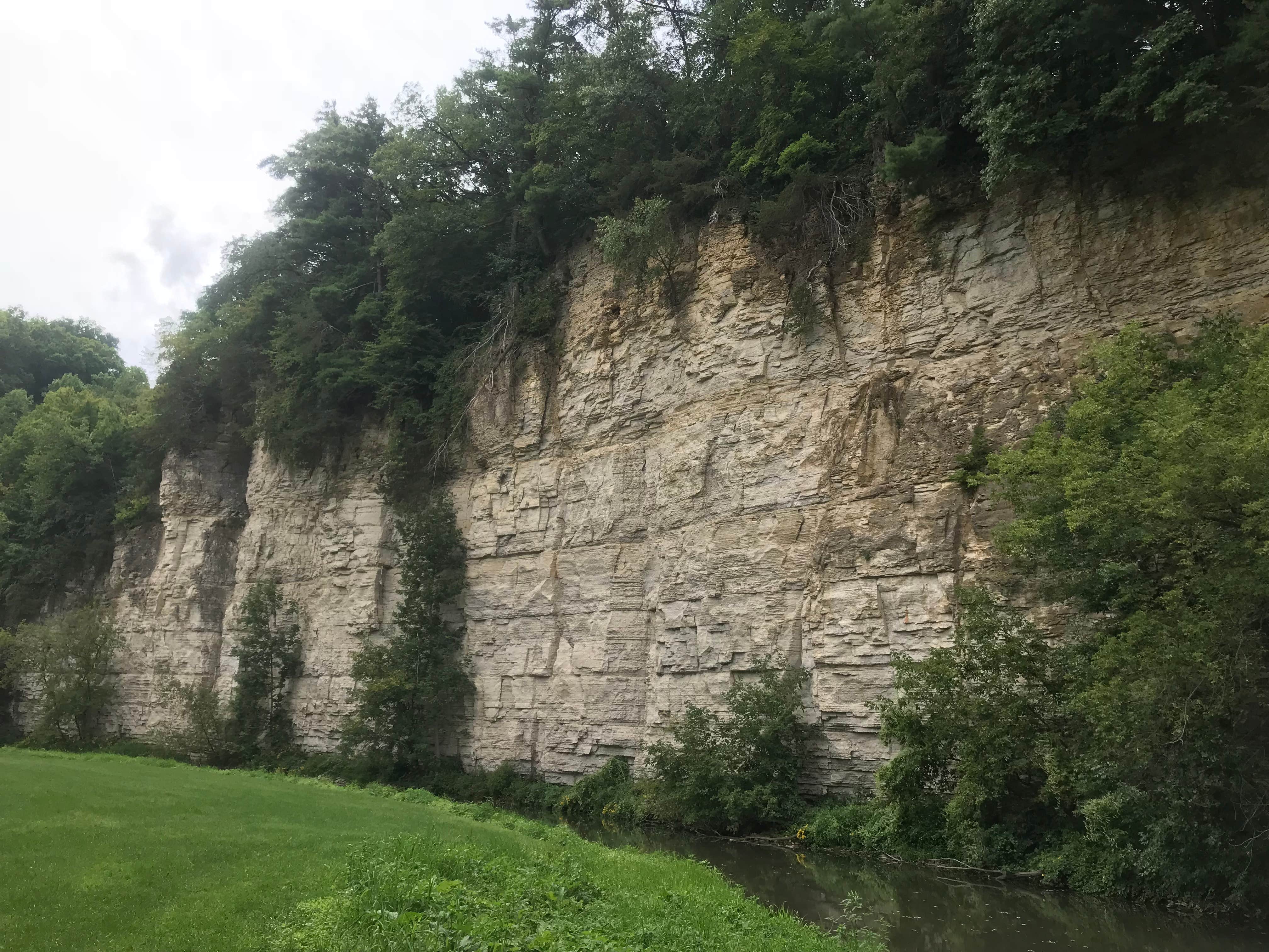 Camper-submitted photo at Forestville Mystery Cave State Park Campground near Plainview, MN