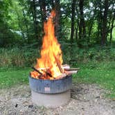 Review photo of Forestville Mystery Cave State Park Campground by TyAnn J., August 23, 2018