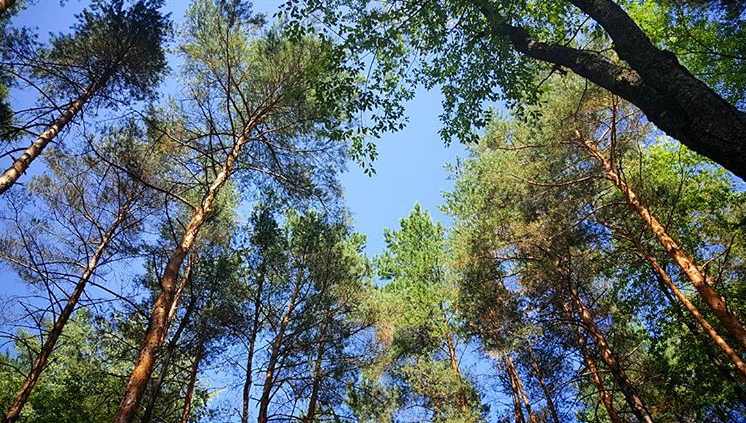 Camper-submitted photo at Kayuta Lake Campground and Marina near Woodgate, NY