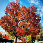 Review photo of Kayuta Lake Campground and Marina by Michael O., August 23, 2018