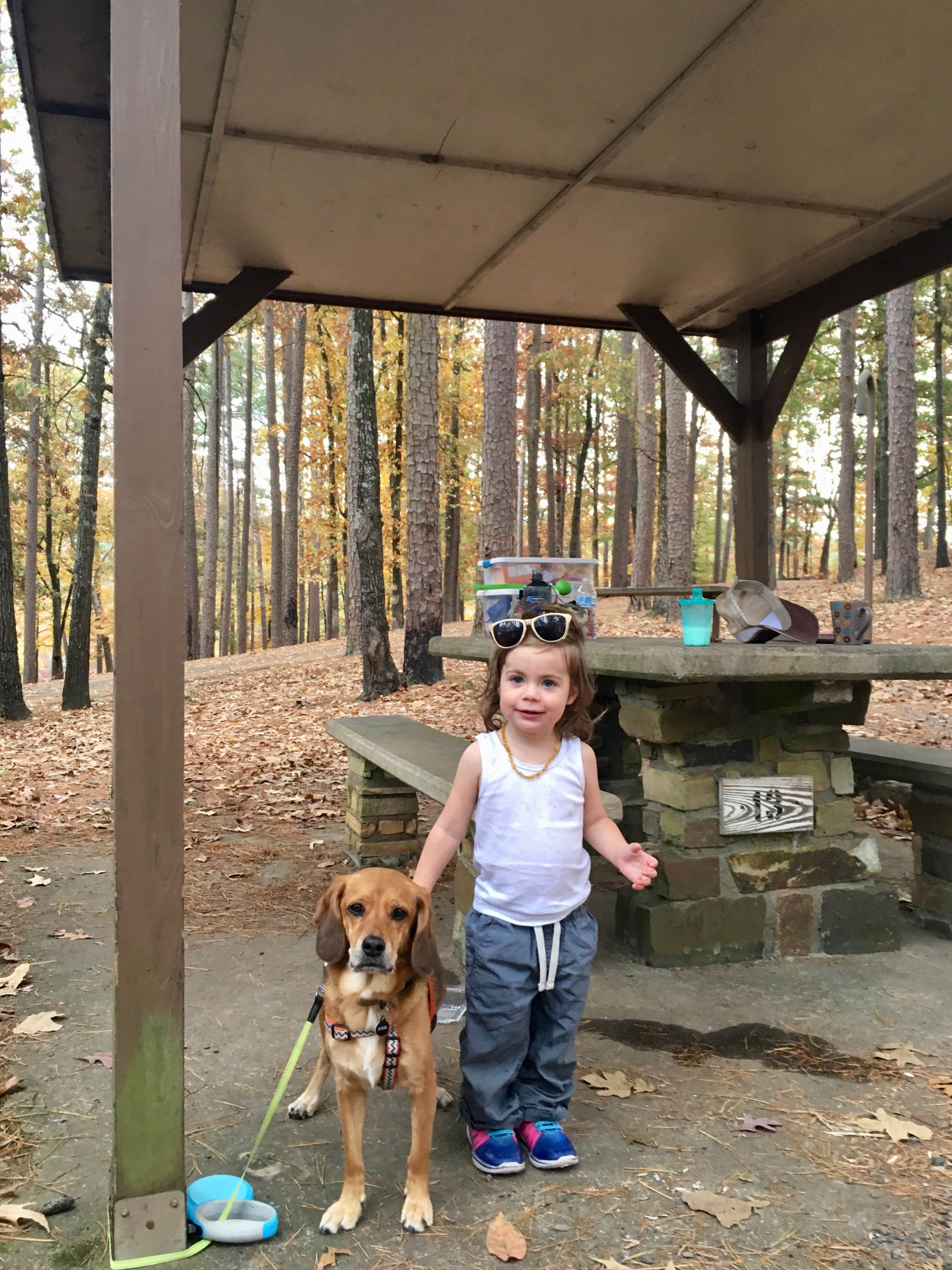 Camper-submitted photo at Quarry Cove near Casa, AR